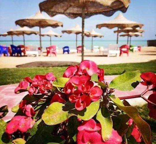 Szálloda Casablanca For Families Only Gurdaka
